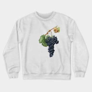 vintage grapes print Crewneck Sweatshirt